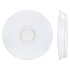 Smart Music LED ceiling Lights RGB Dimmable